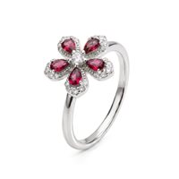 Ring Brosway Woman FANCY - PASSION RUBY in Silver FPR153